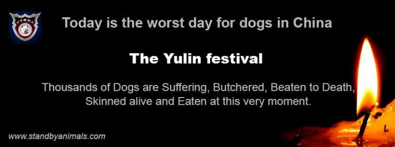 Yulin, China, dog meat