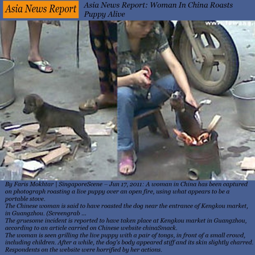 ASIA NEWS REPORT CHINA JUNE 17 2011
